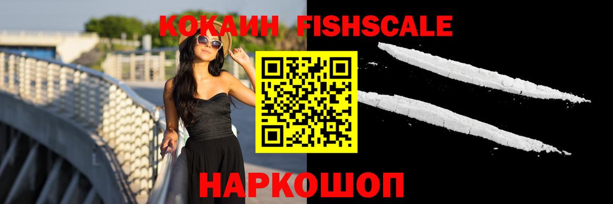 Чебаркуль  КОКАИН Fish Scale  где купить наркотик  Вход с VPN 