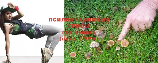 крисы Покровск