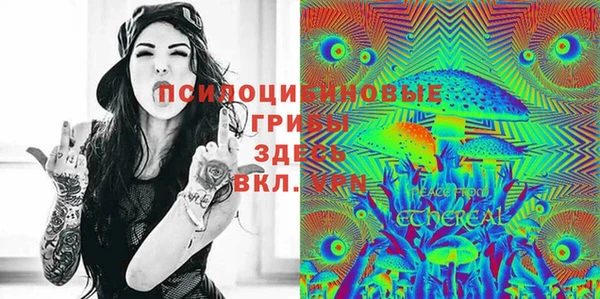 крисы Покровск