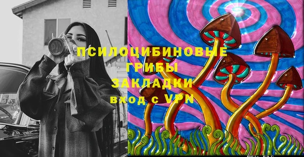 ПСИЛОЦИБИНОВЫЕ ГРИБЫ Абинск