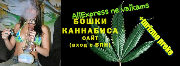 молекула духа Бородино