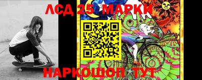 гидра Коммунар