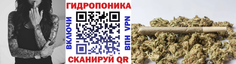 Каннабис VHQ  сколько стоит  Чебаркуль 